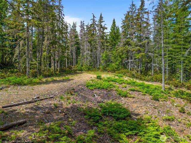 905 NE Tahuya Blacksmith Rd, Tahuya, WA 98588 - photo 6