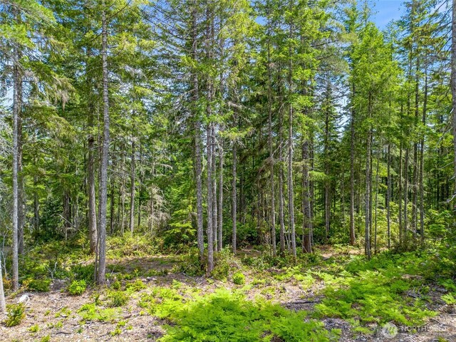 905 NE Tahuya Blacksmith Rd, Tahuya, WA 98588 - photo 7