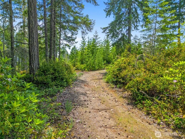905 NE Tahuya Blacksmith Rd, Tahuya, WA 98588 - photo 10