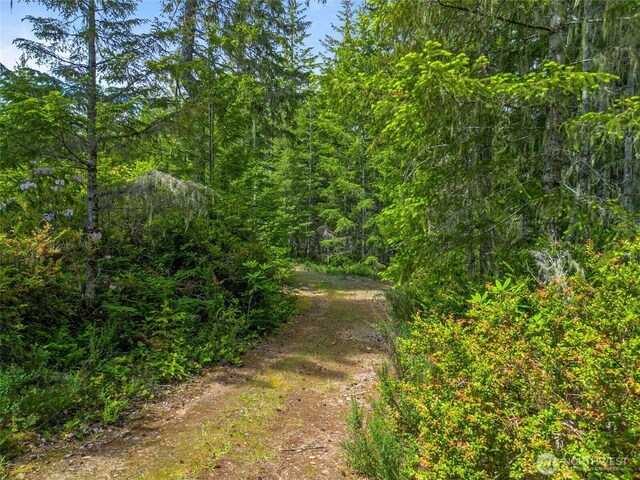 905 NE Tahuya Blacksmith Rd, Tahuya, WA 98588 - photo 11