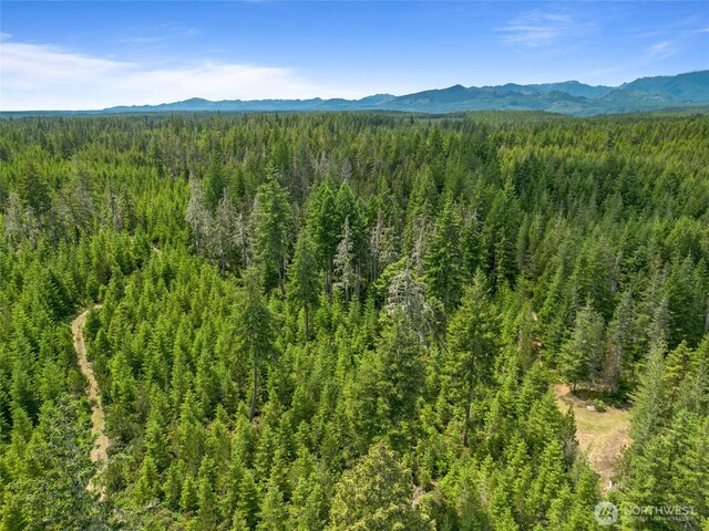 905 NE Tahuya Blacksmith Rd, Tahuya, WA 98588 - photo 17