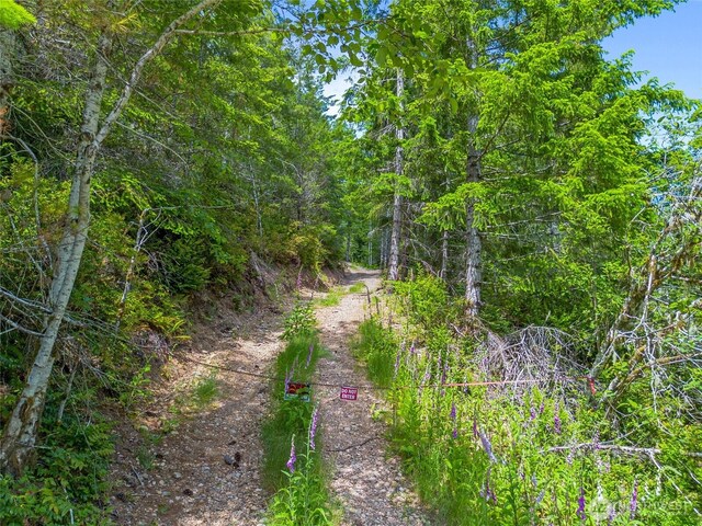 905 NE Tahuya Blacksmith Rd, Tahuya, WA 98588 - photo 9