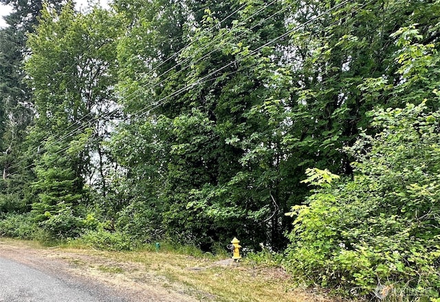 0XX NE 2nd St, Winlock, WA 98596
