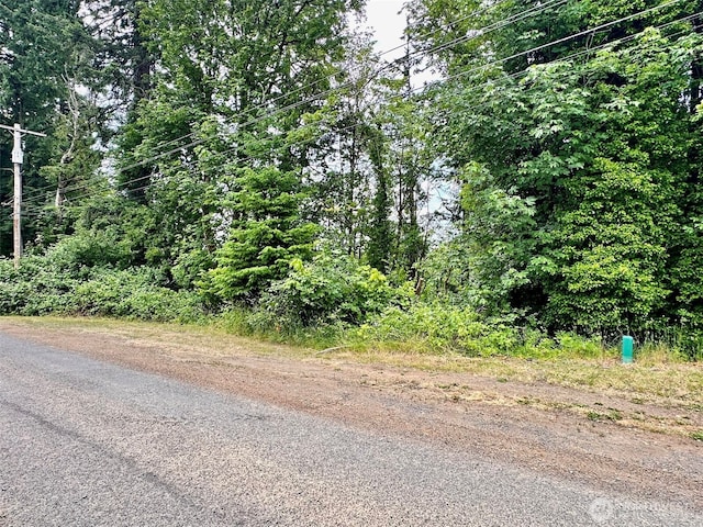 0XX NE 2nd St, Winlock, WA 98596
