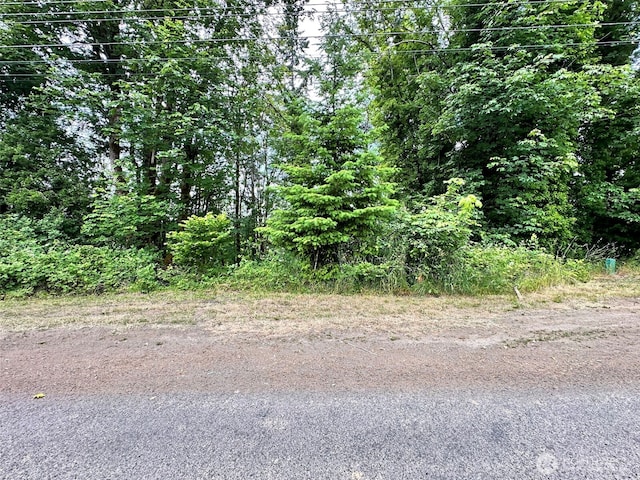 0XX NE 2nd St, Winlock, WA 98596