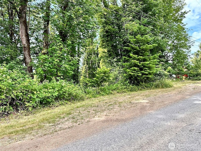 0XX NE 2nd St, Winlock, WA 98596