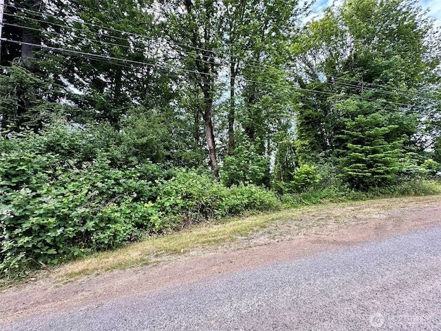 0XX NE 2nd St, Winlock, WA 98596