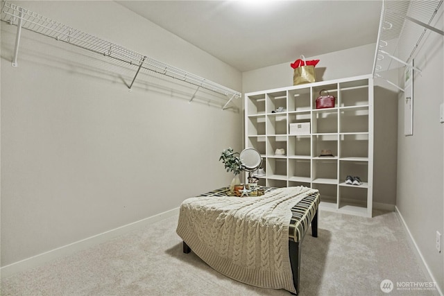 13020 112th Ave NE, Kirkland, WA 98034 - walk in closet featuring carpet
