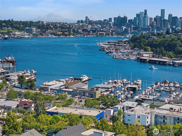 3425 Albion Pl N, Seattle, WA 98103 - bird's eye view of numerous boat docks, city skyline, and a large body of water