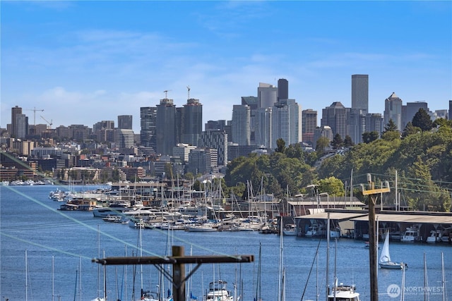 3425 Albion Pl N, Seattle, WA 98103 - skyline view with a large body of water