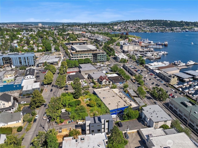 3425 Albion Pl N, Seattle, WA 98103 - drone / aerial view of a large body of water