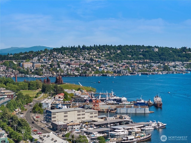 3425 Albion Pl N, Seattle, WA 98103 - drone / aerial view of a water and mountain view