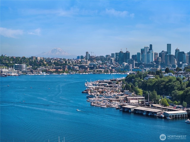3425 Albion Pl N, Seattle, WA 98103 - water view with skyline