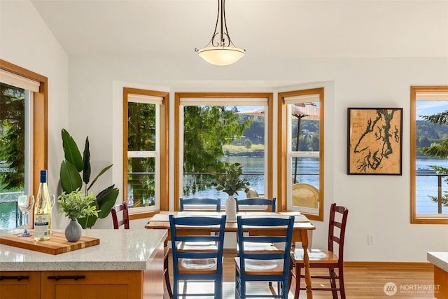 115 Quarry Rd, Port Ludlow, WA 98365 - dining space featuring plenty of natural light and light wood-type flooring