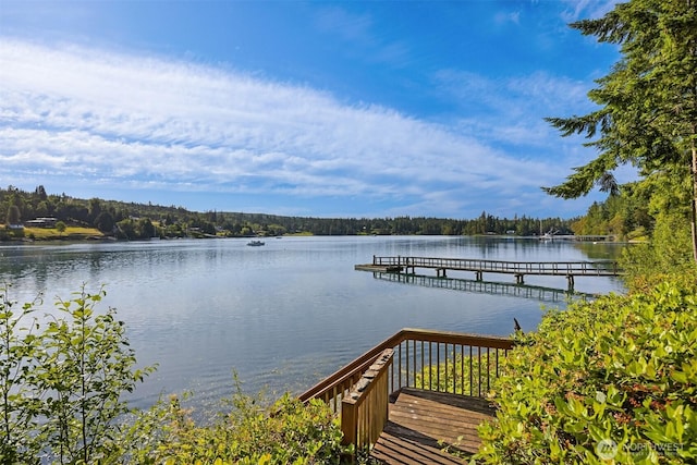 115 Quarry Rd, Port Ludlow, WA 98365 - dock with a water view and a view of trees