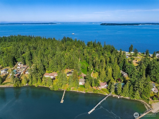 115 Quarry Rd, Port Ludlow, WA 98365 - aerial overview of property's location with a large body of water