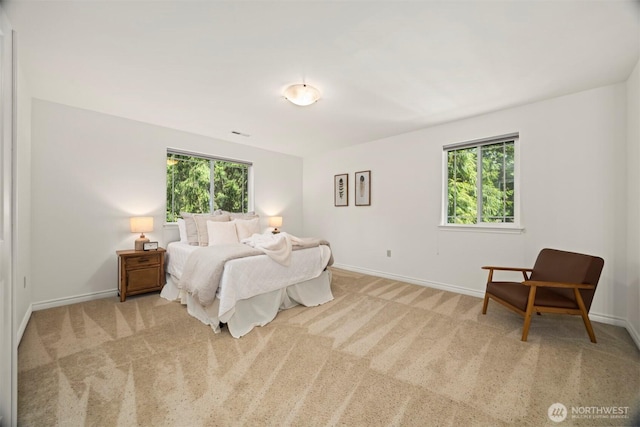 3 Spring Rd, Bellingham, WA 98229 - carpeted bedroom featuring multiple windows