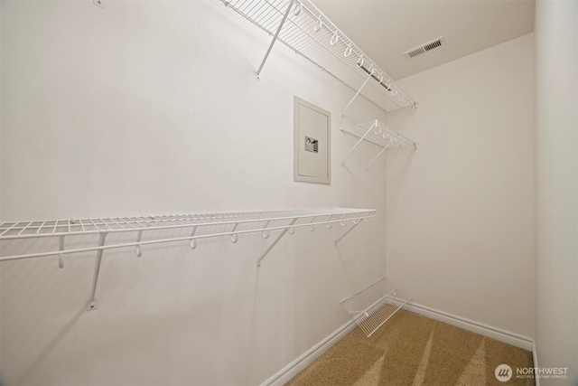 3 Spring Rd, Bellingham, WA 98229 - spacious closet with carpet floors and electric panel