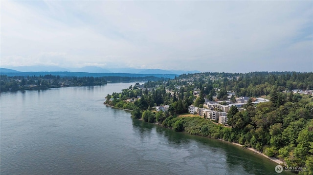525 Lebo Blvd Unit G3, Bremerton, WA 98310 - water view featuring a heavily wooded area