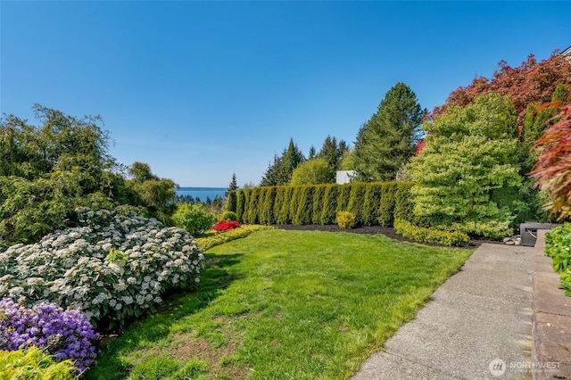 4920 Seahurst Ave, Everett, WA 98203 - view of green lawn