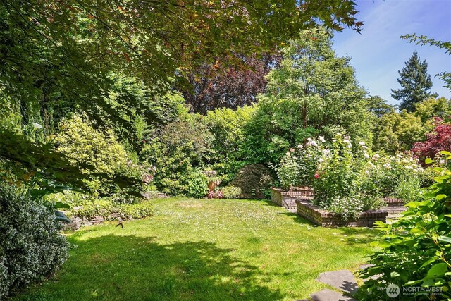 3804 S Mcclellan St, Seattle, WA 98144 - view of grassy yard