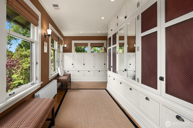 3804 S Mcclellan St, Seattle, WA 98144 - mudroom with healthy amount of natural light, ornamental molding, dark wood-type flooring, and recessed lighting