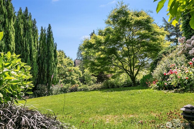 3804 S Mcclellan St, Seattle, WA 98144 - view of green lawn