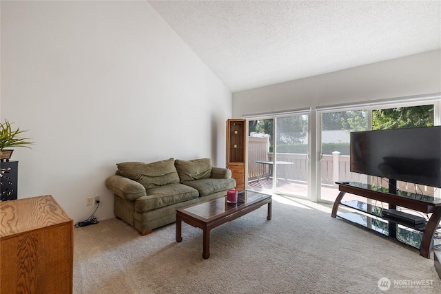 3207 SW 319th St Unit 48, Federal Way, WA 98023 - living area featuring carpet, vaulted ceiling, and a textured ceiling