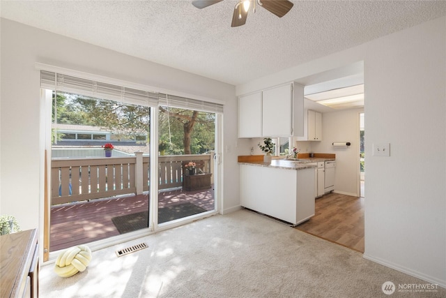 3207 SW 319th St Unit 48, Federal Way, WA 98023 - kitchen featuring white cabinetry, light carpet, a ceiling fan, a textured ceiling, and dishwasher