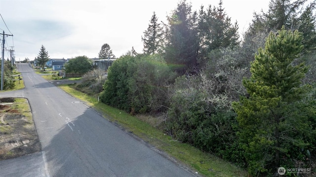 949 Tonquin Ave SW, Ocean Shores, WA 98569