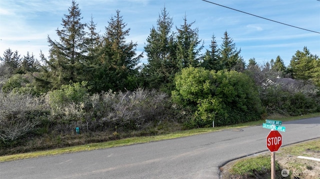 949 Tonquin Ave SW, Ocean Shores, WA 98569
