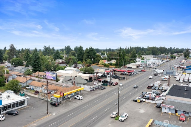 9618 Pacific Ave, Tacoma, WA 98444 - drone / aerial view of a tree filled landscape