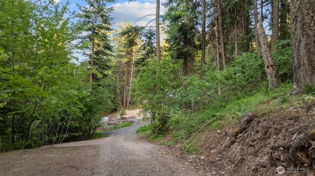 621 Rodeo Rd, Cle Elum, WA 98922