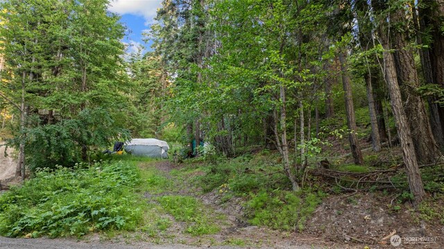 621 Rodeo Rd, Cle Elum, WA 98922