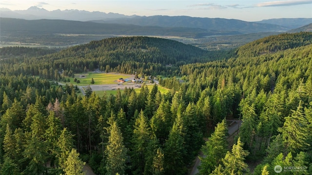 621 Rodeo Rd, Cle Elum, WA 98922