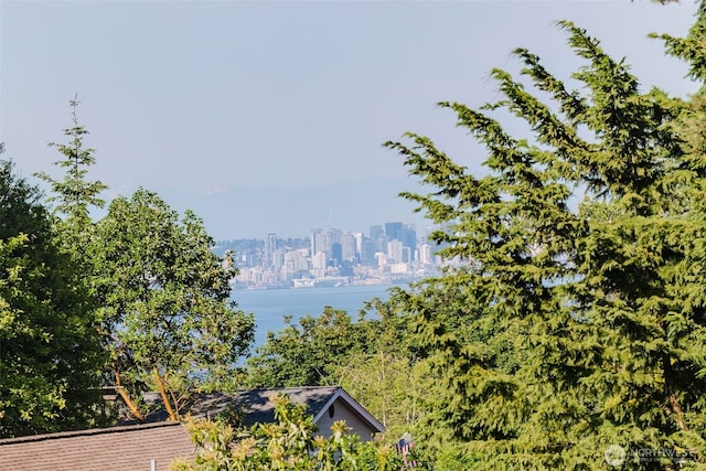 7315 E Collins Rd, Port Orchard, WA 98366 - water view with skyline