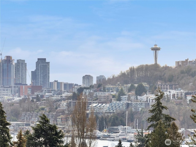 1525 N 39th St, Seattle, WA 98103 - view of city skyline
