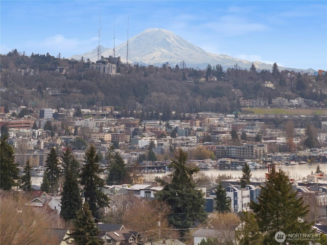 1525 N 39th St, Seattle, WA 98103 - view of mountain backdrop