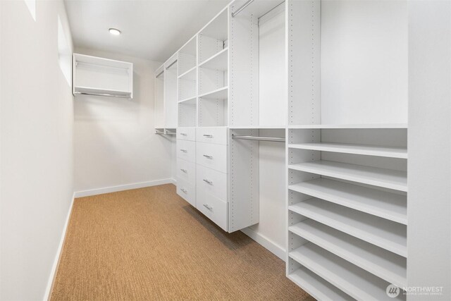 7528 30th Ave NW, Seattle, WA 98117 - photo 20