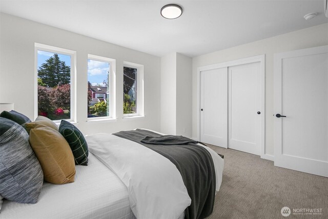 7528 30th Ave NW, Seattle, WA 98117 - photo 21