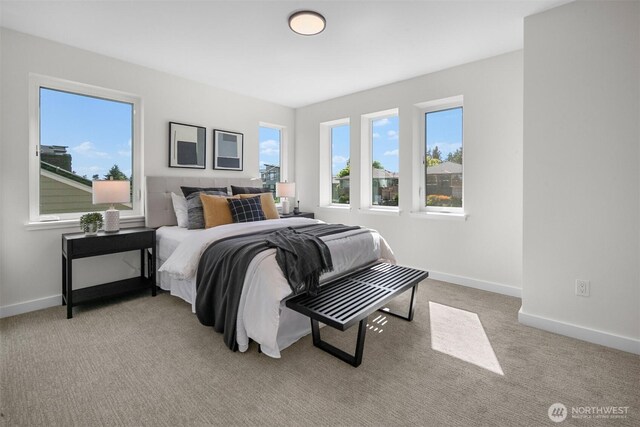 7528 30th Ave NW, Seattle, WA 98117 - photo 22