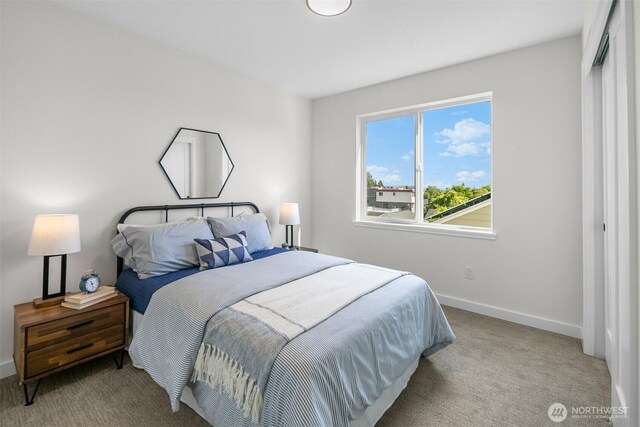 7528 30th Ave NW, Seattle, WA 98117 - photo 23