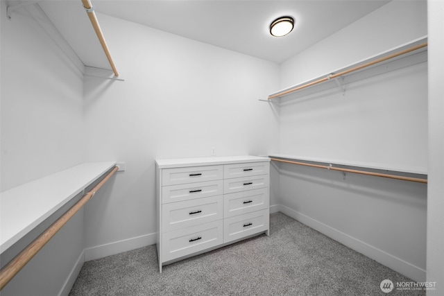 821 S Mary Ave, East Wenatchee, WA 98802 - walk in closet with light colored carpet