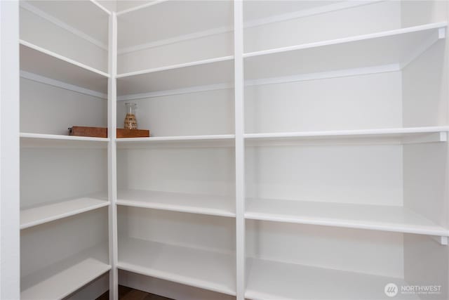 11413 Interlaaken Dr SW, Lakewood, WA 98498 - view of storage area