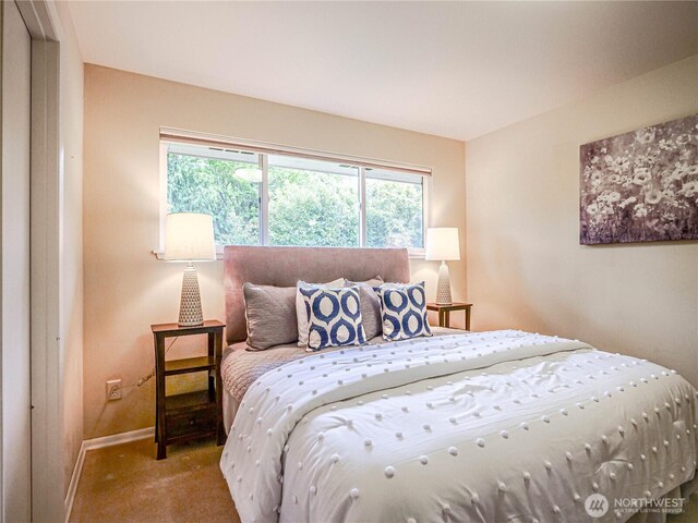 1709 NW 99th St, Seattle, WA 98117 - bedroom with baseboards and carpet floors