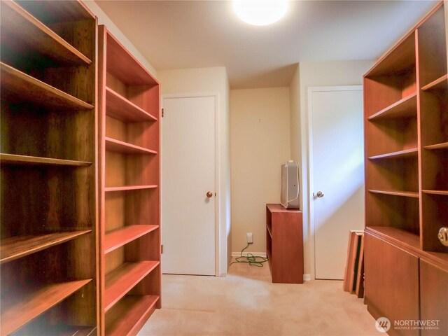 1709 NW 99th St, Seattle, WA 98117 - spacious closet with carpet