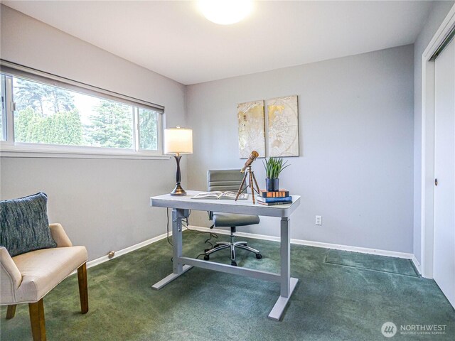 1709 NW 99th St, Seattle, WA 98117 - carpeted office space with baseboards