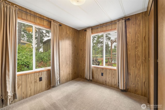 1171 E Trails End Dr, Belfair, WA 98528 - unfurnished room with carpet floors, wood walls, and healthy amount of natural light