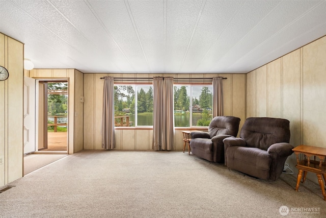 1171 E Trails End Dr, Belfair, WA 98528 - living area featuring carpet, plenty of natural light, and a textured ceiling