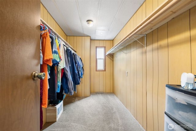 1171 E Trails End Dr, Belfair, WA 98528 - spacious closet with carpet